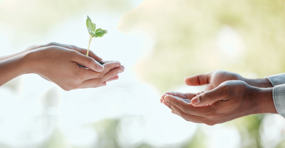 Hoe kun je het vertrouwen herstellen in je relatie | 3 concrete stappen