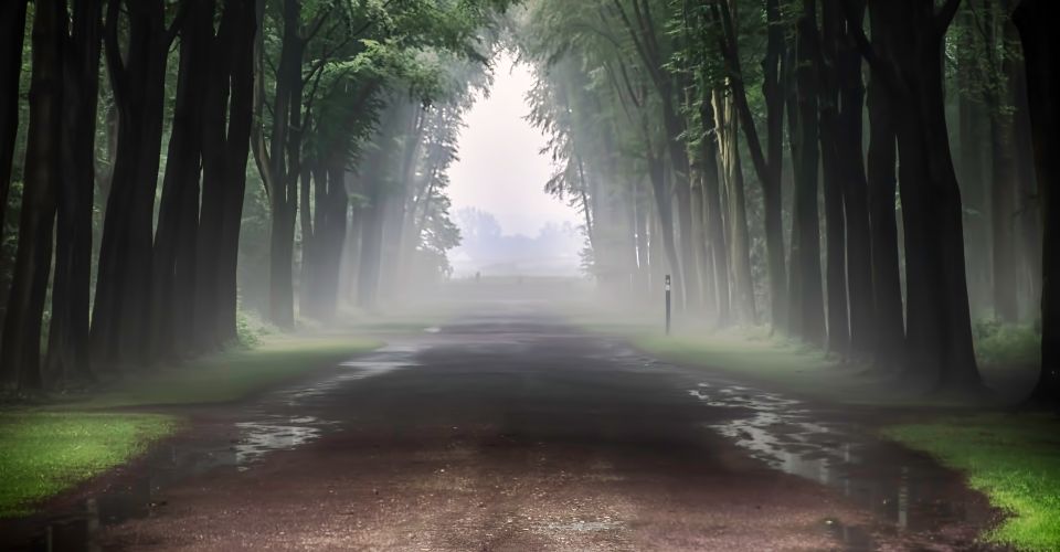 Pad door een bos als symbool voor de eerste stap na het stoppen met een affaire